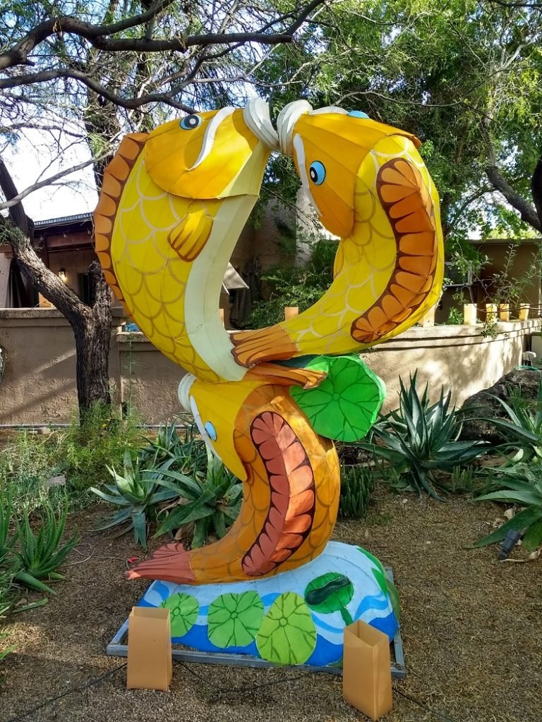 fish lanterns Tucson