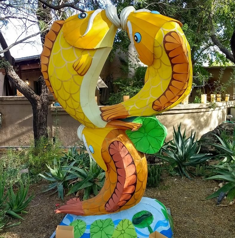 fish lanterns Tucson