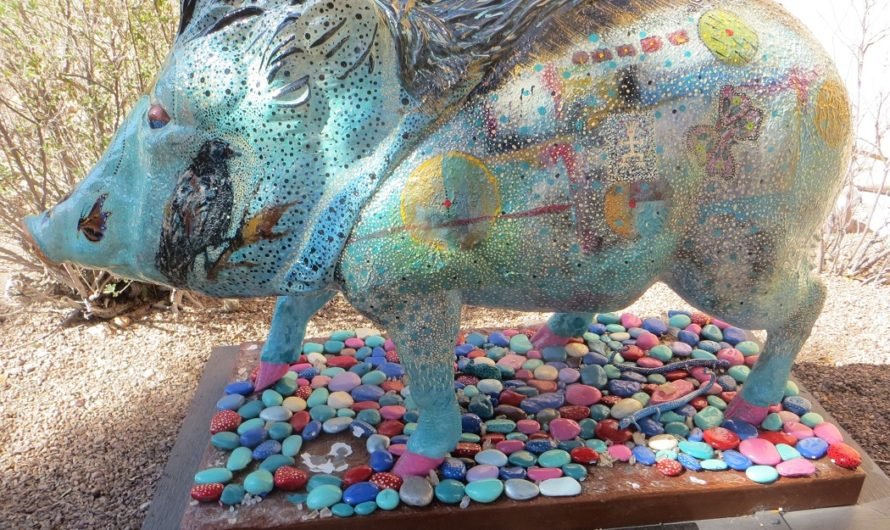 Javelina Madness at the Tubac art festival