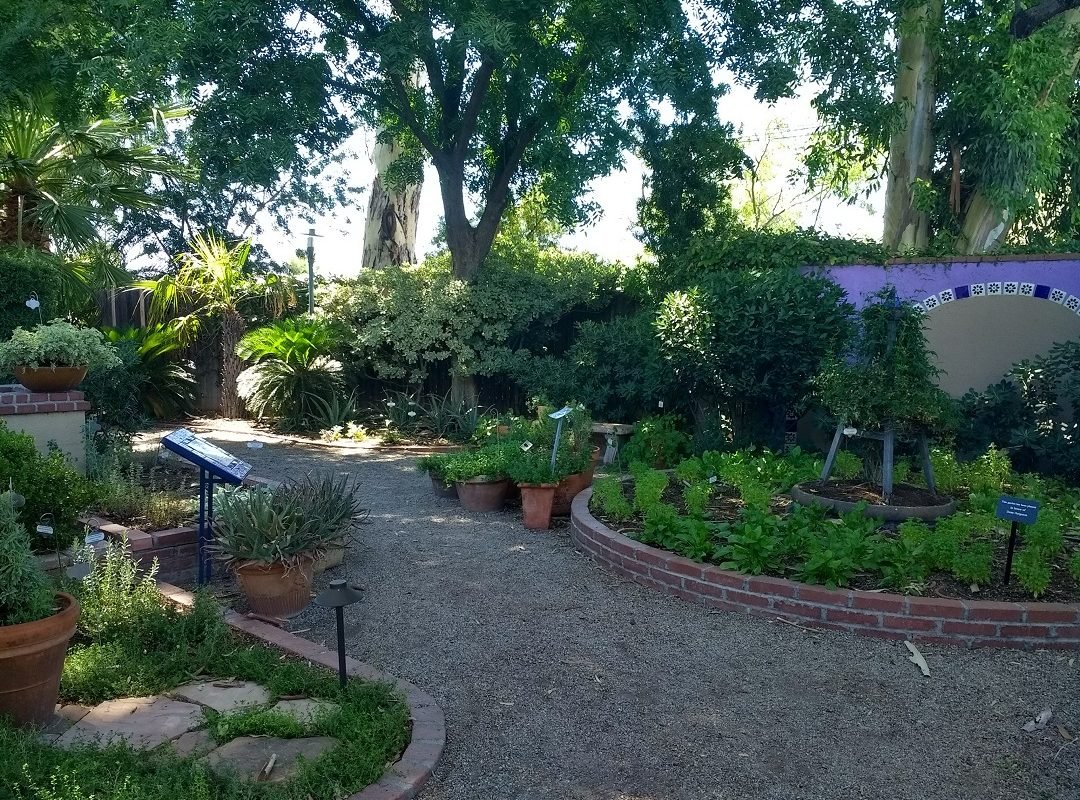 Tucson Botanical Garden path