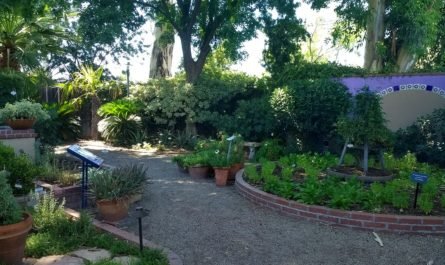 Tucson Botanical Garden path