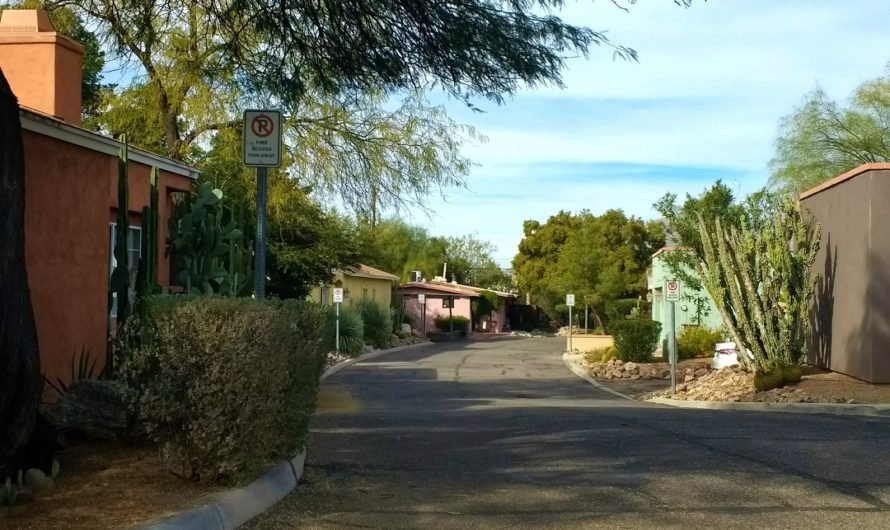 A walk around a colorful and arty Tucson neighborhood