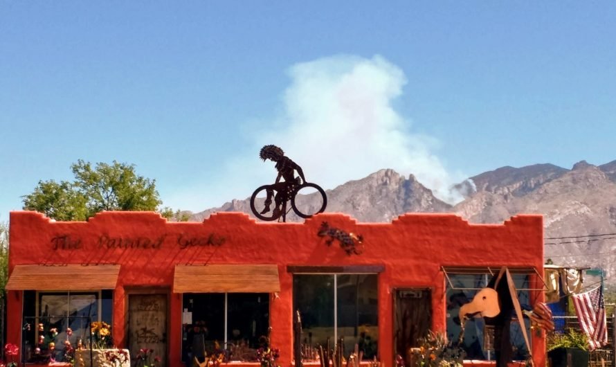 Bighorn wildfire is approaching Tucson