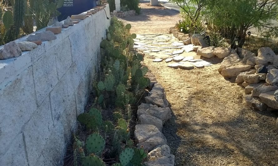 No sidewalk?  No problem! Walk the streets