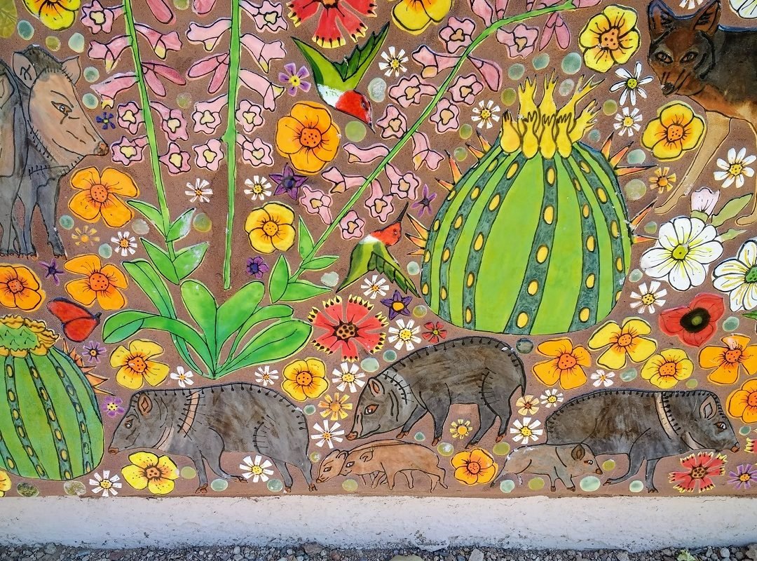 Rillito Bend mural javelinas