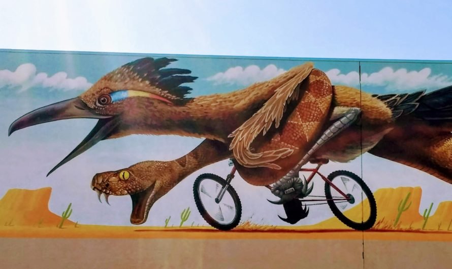 Another wild Tucson mural and one that may vanish