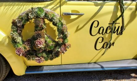 Yellow VW bug used as planter