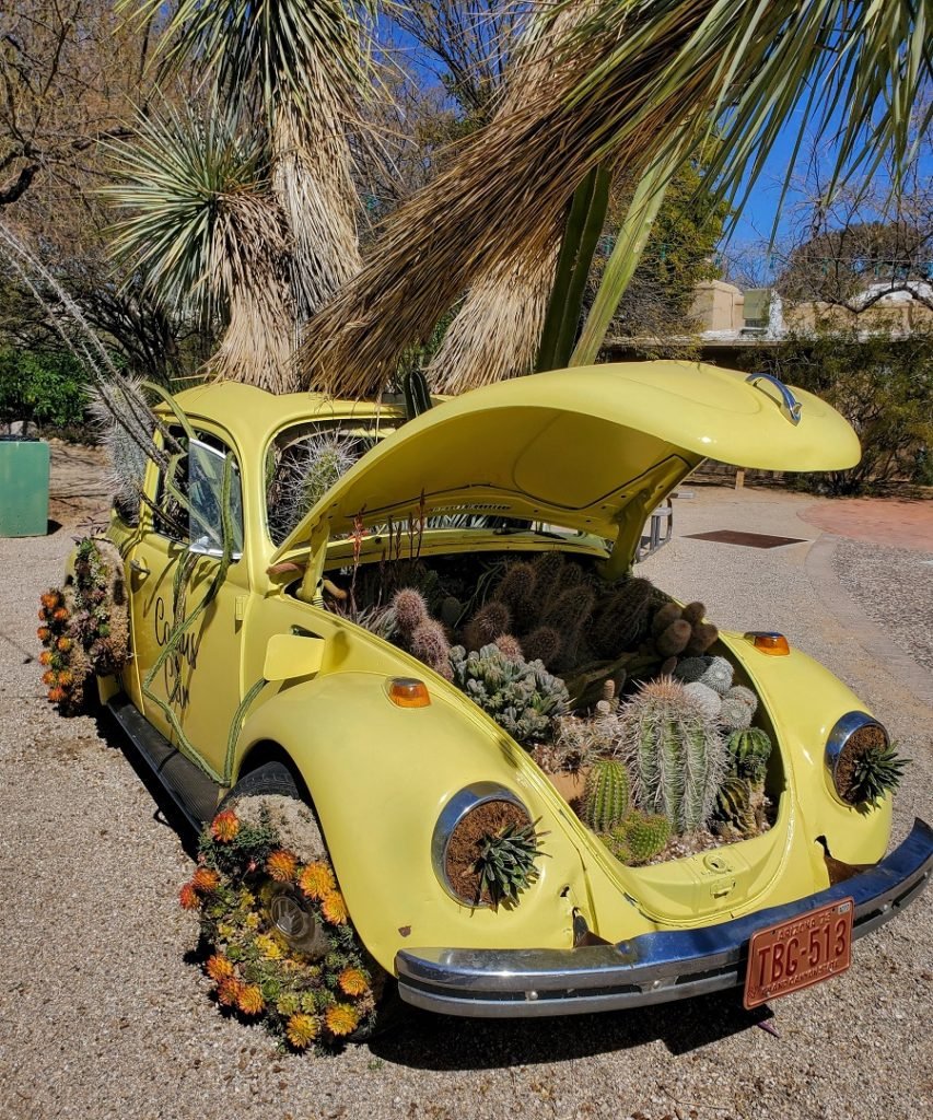 volkswagen cactus THE VW MICROBUS FOREVER by artist Frau Sakra – Cactus Gallery LA main image 1