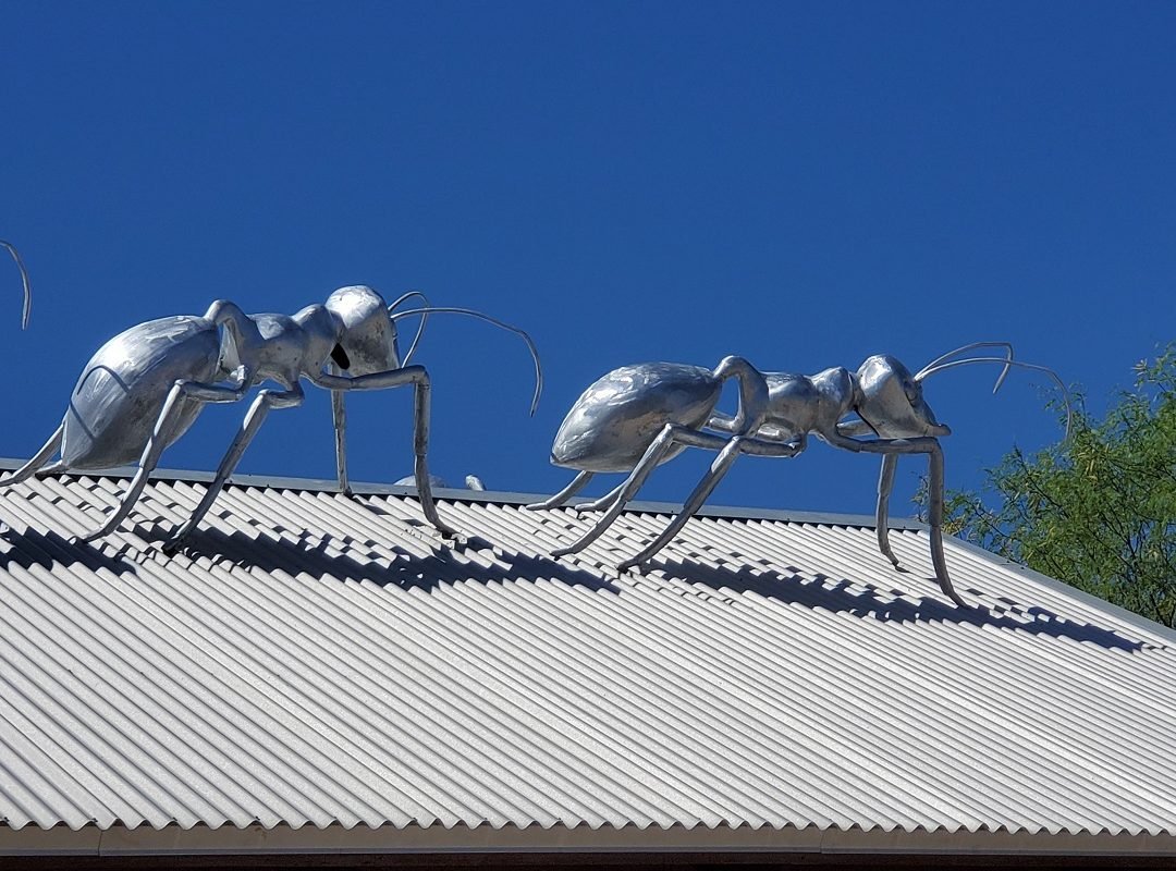 aluminum ant sculpture Tucson AZ 2021