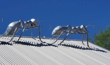 aluminum ant sculpture Tucson AZ 2021
