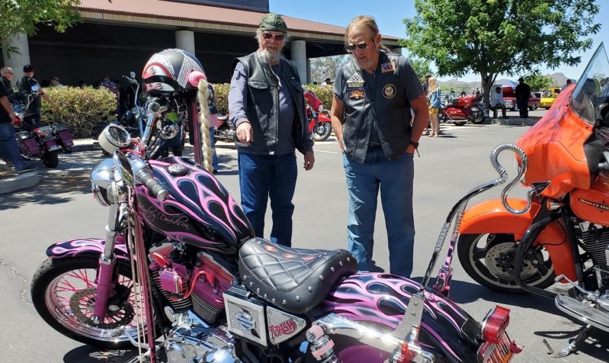 Wild, pink and fuzzy at the HD motorcycle show