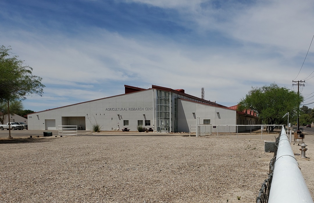 Ranching lives in the central Tucson Campus Farm neighborhood I saw
