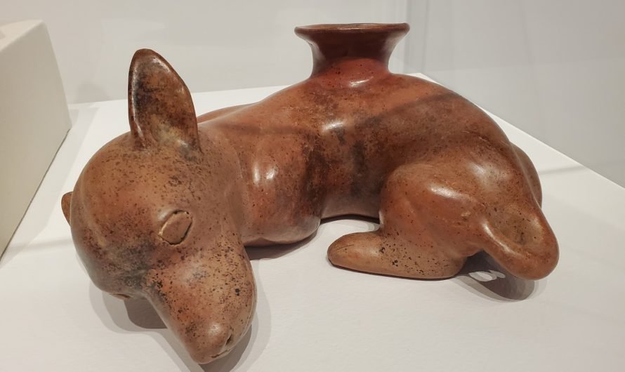Here are those puppies from Mexico