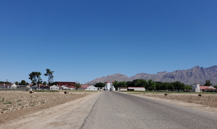Ranching lives in the central Tucson Campus Farm neighborhood