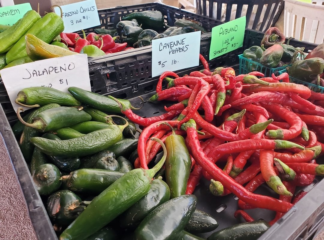 chilles at Rillito Famers Market Tucson