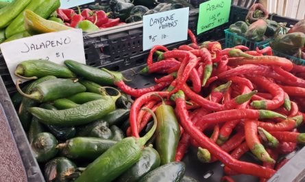 chilles at Rillito Famers Market Tucson