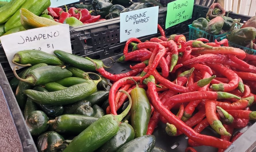 Pro Tip: Go early for hot chiles at the Festival