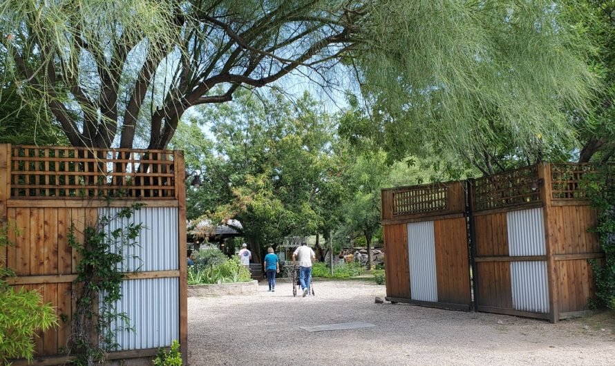 Surprises at Tucson’s oldest vintage market