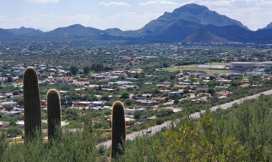 An eagle’s eye view of Tucson