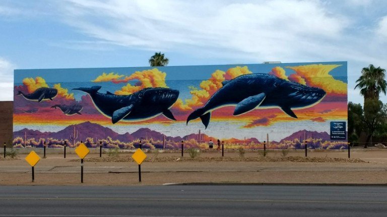 whale mural Tucson