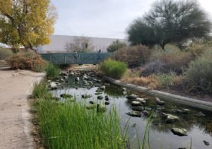 rocky streambed at Sweetwater Wetlands Tucson