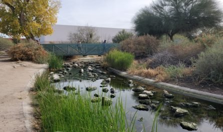 rocky streambed at Sweetwater Wetlands Tucson