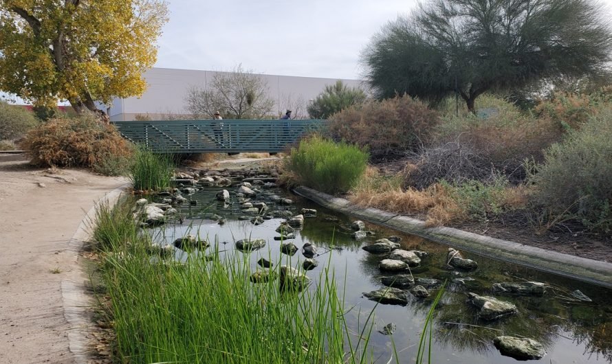 The name’s only half-true at Sweetwater Wetlands