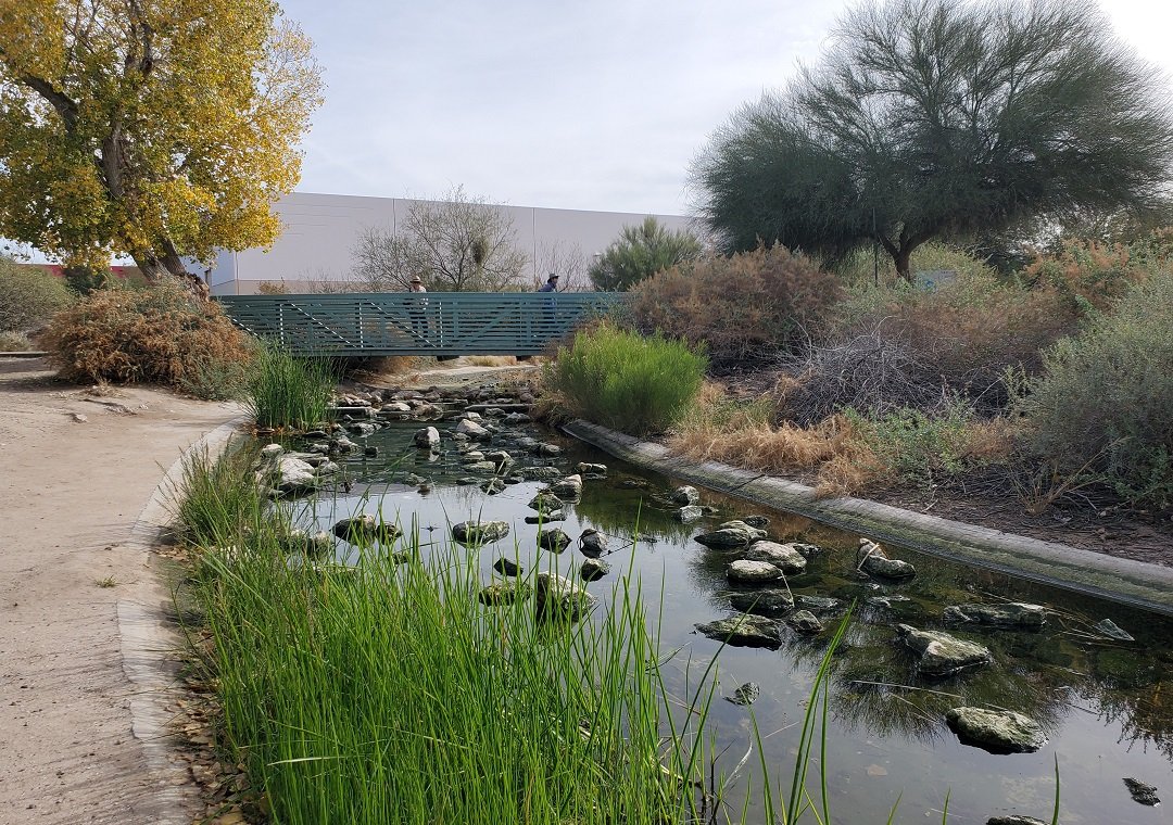 rocky streambed at Sweetwater Wetlands Tucson