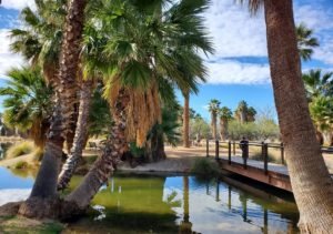 Agua caliente Regional Park island