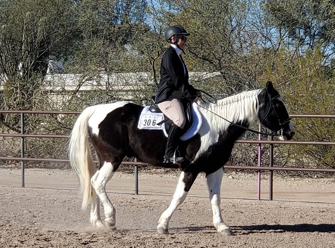 horse and rider Tucson
