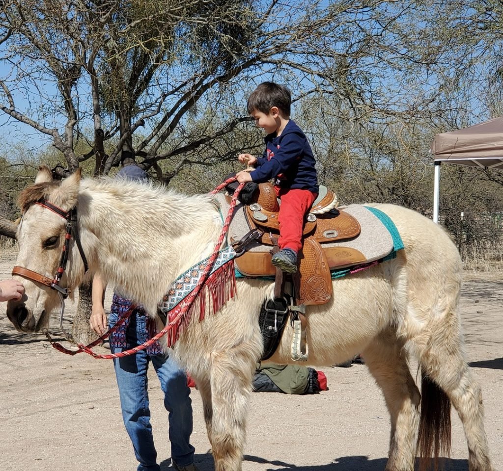 little boy on horse Pima County sheriff's posse gymkana