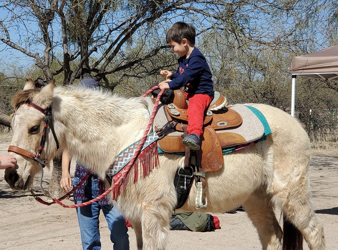 little boy on horse Pima County sheriff's posse gymkana