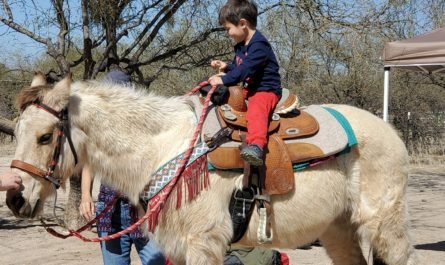 little boy on horse Pima County sheriff's posse gymkana