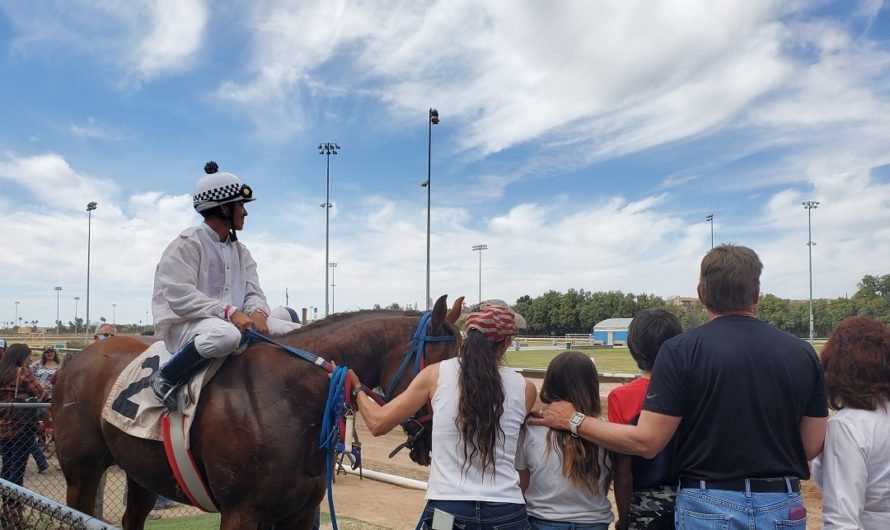 Demonstration against horse abuse–a bust