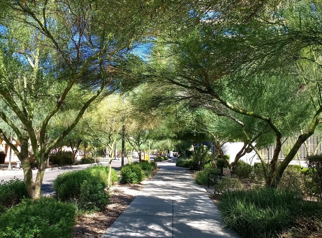 Scott Ave downtown Tucson