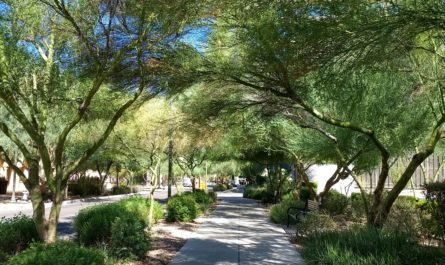 Scott Ave downtown Tucson