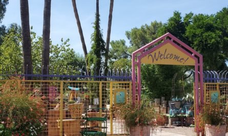 Harlow Gardens Entrance Tucson