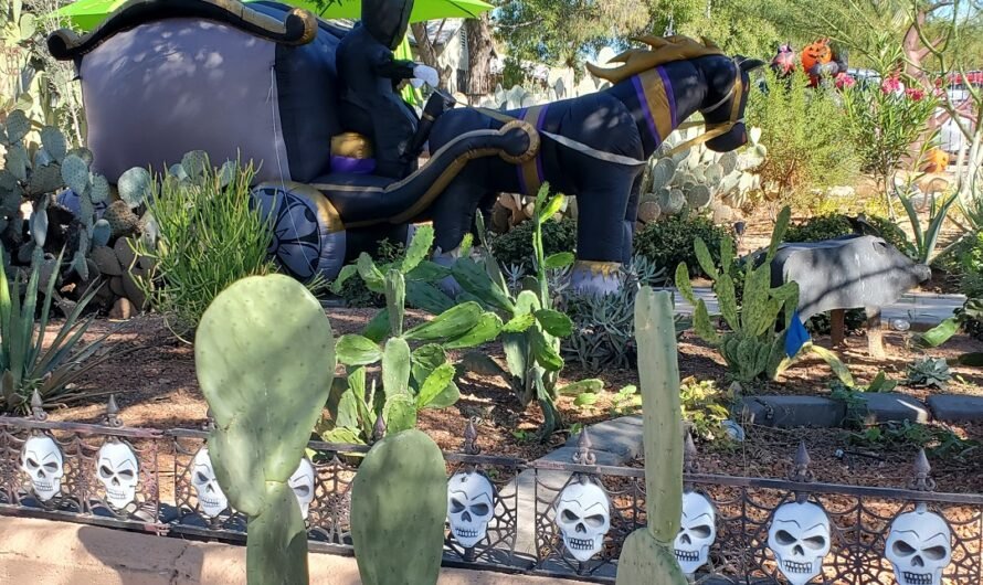 Too many inflatables? Not for Halloween