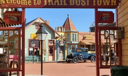 entry to Dust Trail Town in Tucson