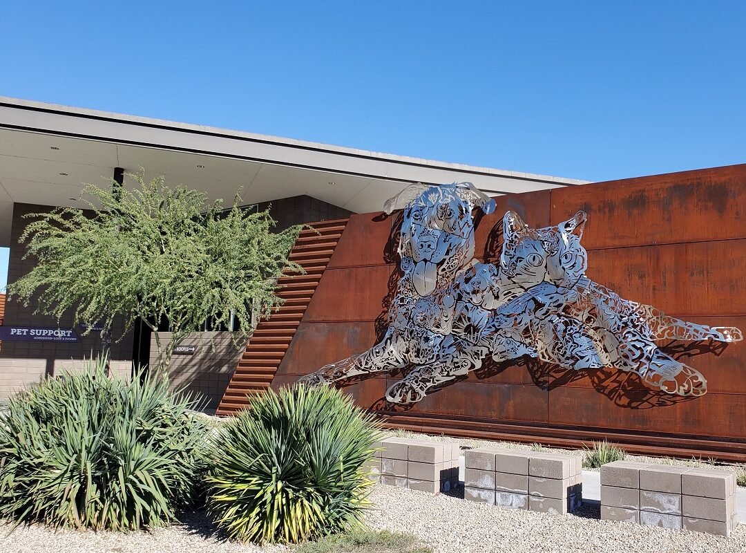 Pima Animal Care Center on Silverbell in Tucson