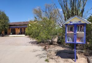 Little Free Library with blue birds of happiness in MidTown Tucson