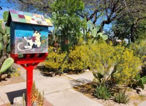Little Free Library in Blenhem Elm neighborhood