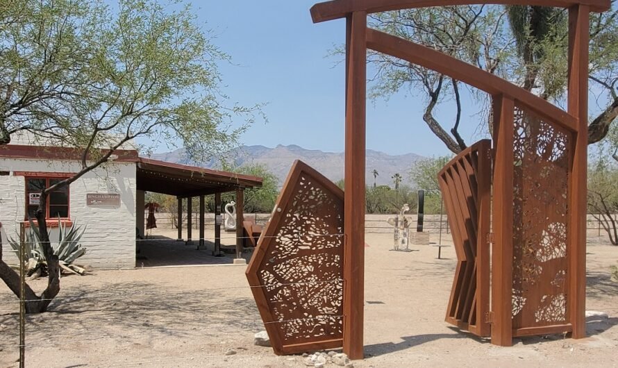No trees in the Tucson Sculpture Park