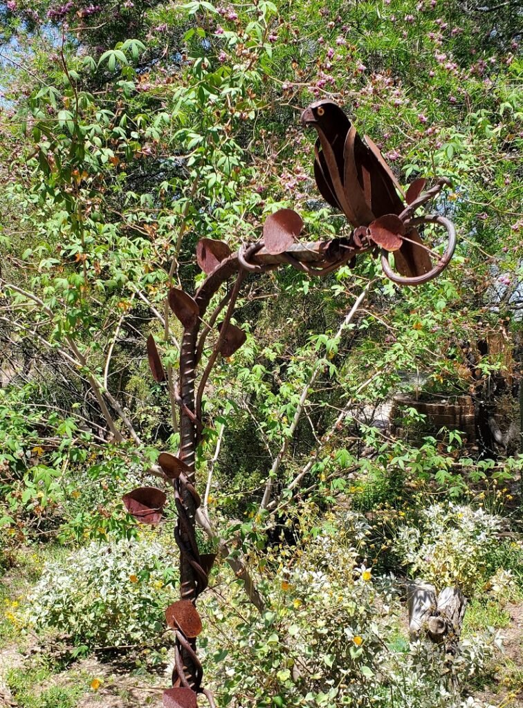 eagle sculpture Tohono Gardens