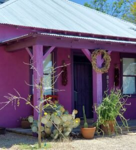 purple house Barrio Viejo