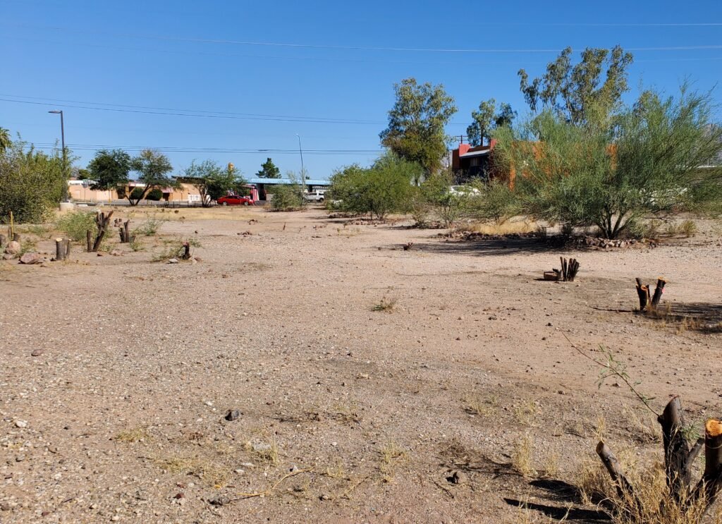 Navajo Wash after tree removal