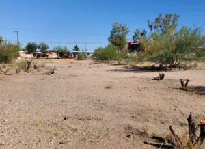 Navajo Wash after tree removal