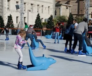 blue dolphin ice skate helpers in Tucson