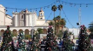 Christmas trees and St. Augustine CAthedral Tucson