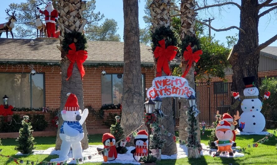 Winterhaven’s Christmas by daylight